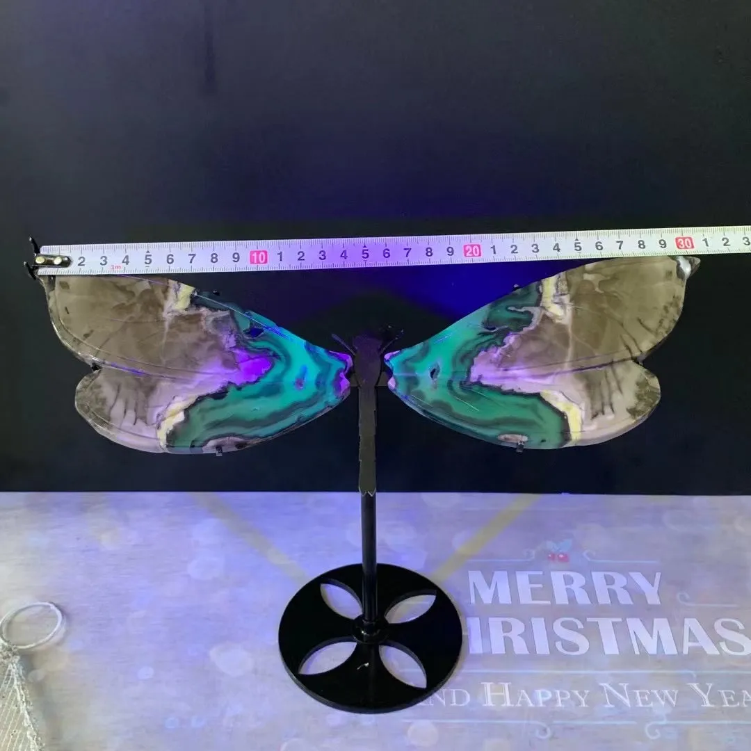 Crystal cravings Volcanic agate dragonfly wings