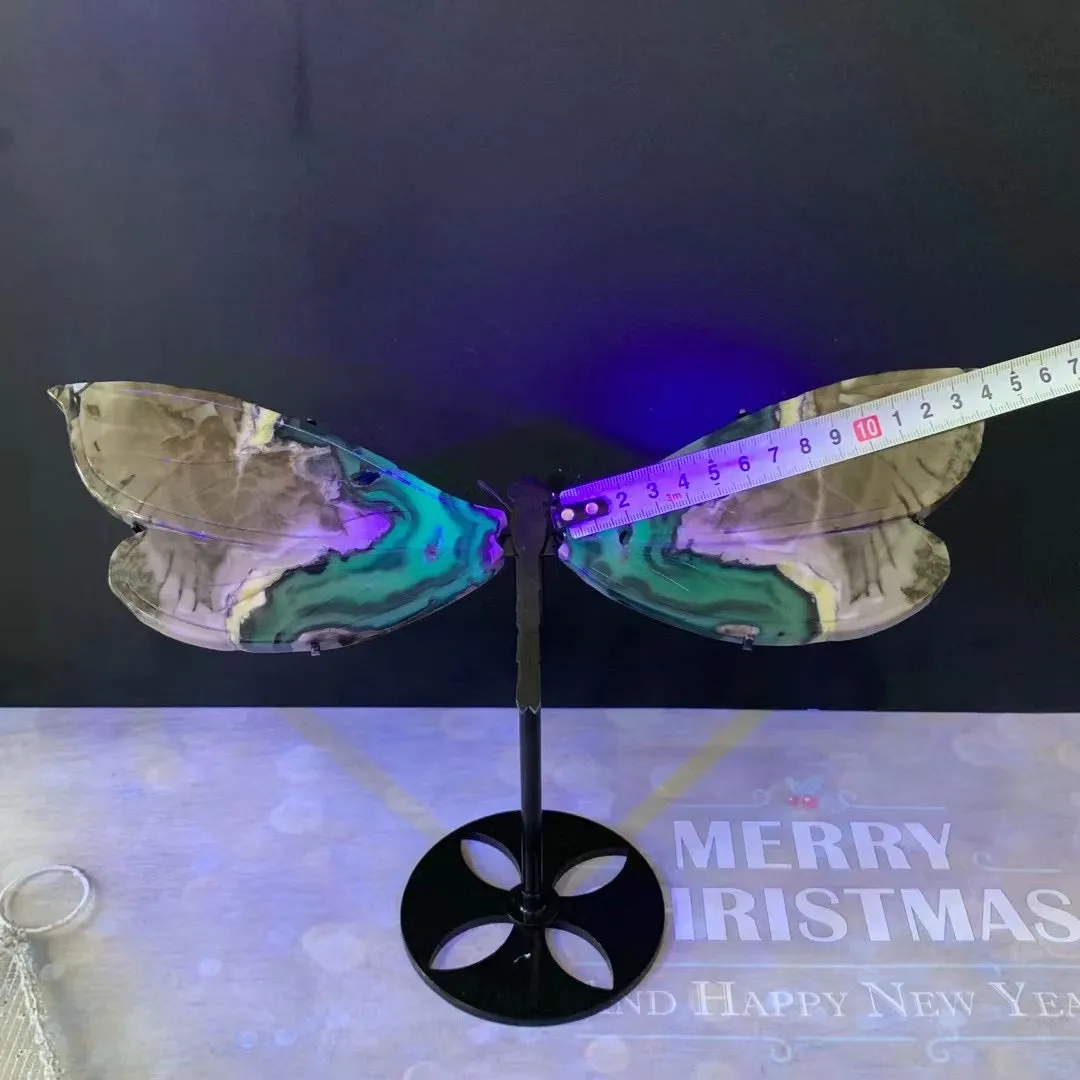 Crystal cravings Volcanic agate dragonfly wings