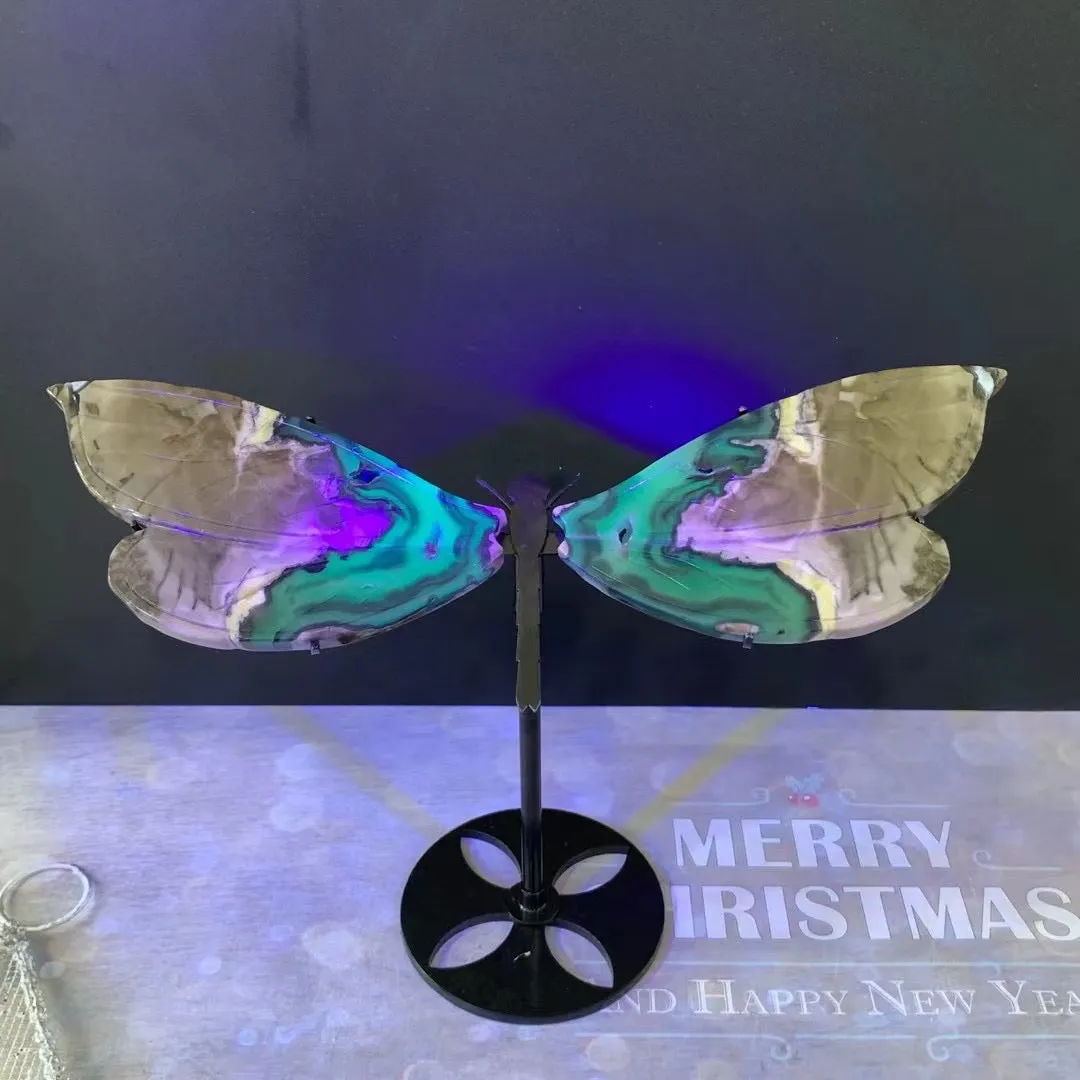 Crystal cravings Volcanic agate dragonfly wings
