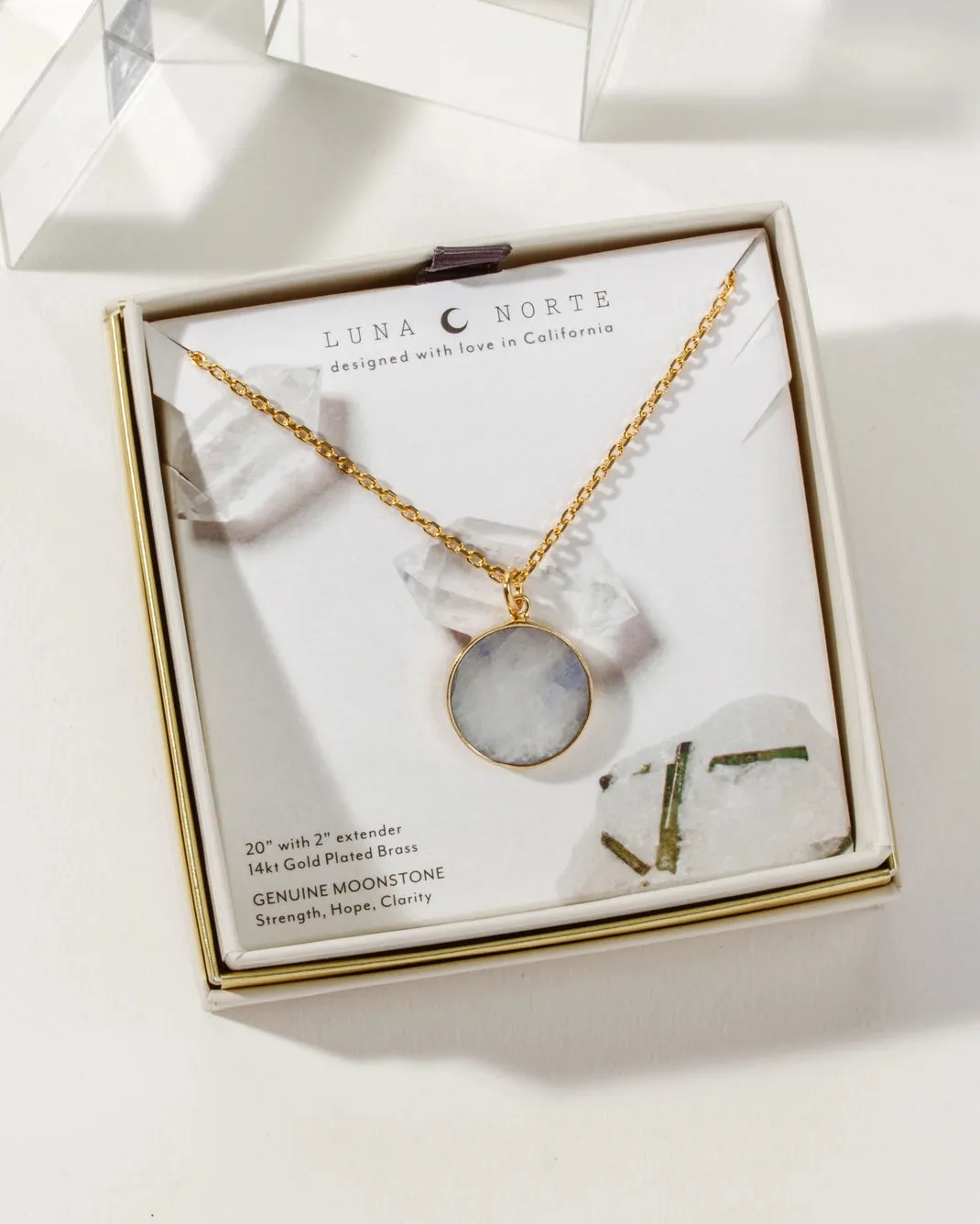 Luna Norte | Moonstone Medallion Necklace
