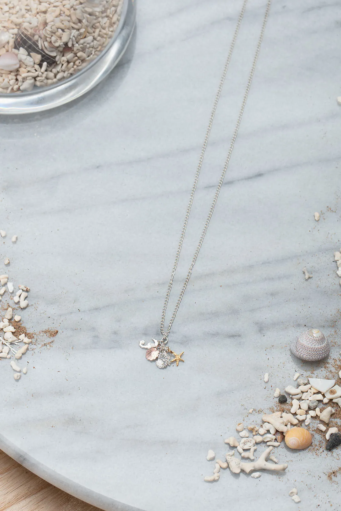 Seashells And Seahorse Pendant In Sterling Silver