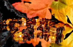 Two Tone Amber Neclace